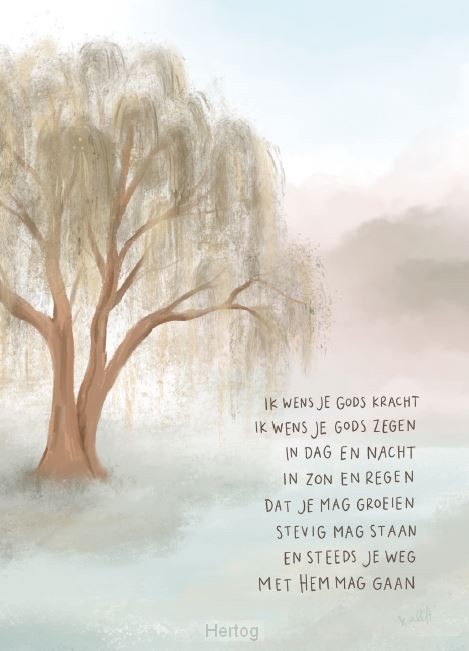 Ik wens je Gods kracht - enkele kaart met envelop