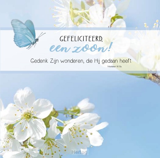 Gefeliciteerd, een zoon! - wenskaart Bijbeltekst SV