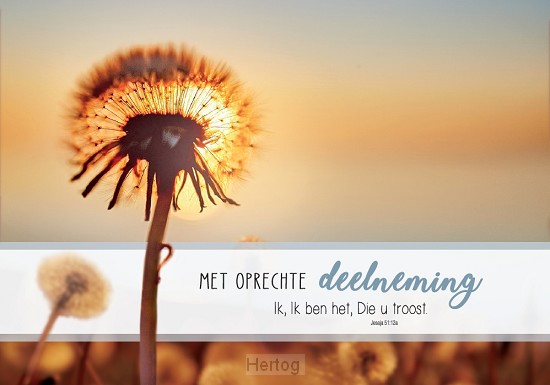 Met oprechte deelneming - wenskaart Bijbeltekst SV