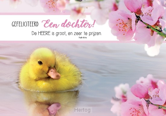 Gefeliciteerd een dochter! - wenskaart Bijbeltekst SV