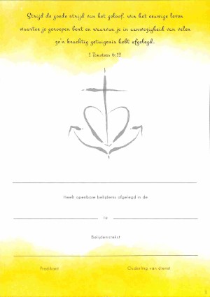 Belijdeniskaart 311 - NBV